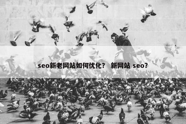 seo新老网站如何优化？ 新网站 seo？-第1张图片-冷动云