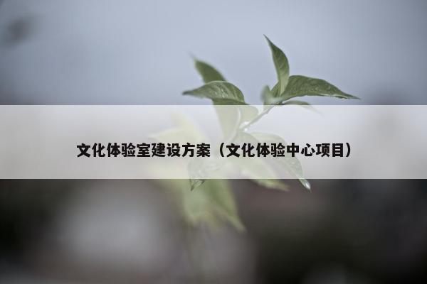 文化体验室建设方案（文化体验中心项目）-第1张图片-冷动云
