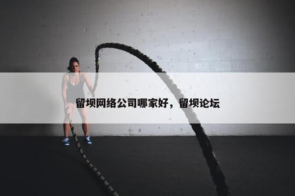 留坝网络公司哪家好，留坝论坛-第1张图片-冷动云