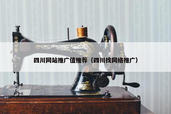 四川网站推广值推荐（四川找网络推广）-第1张图片-冷动云