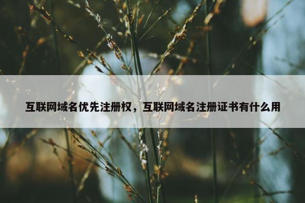 互联网域名优先注册权，互联网域名注册证书有什么用-第1张图片-冷动云