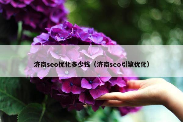 济南seo优化多少钱（济南seo引擎优化）-第1张图片-冷动云