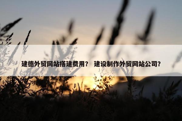 建德外贸网站搭建费用？ 建设制作外贸网站公司？-第1张图片-冷动云