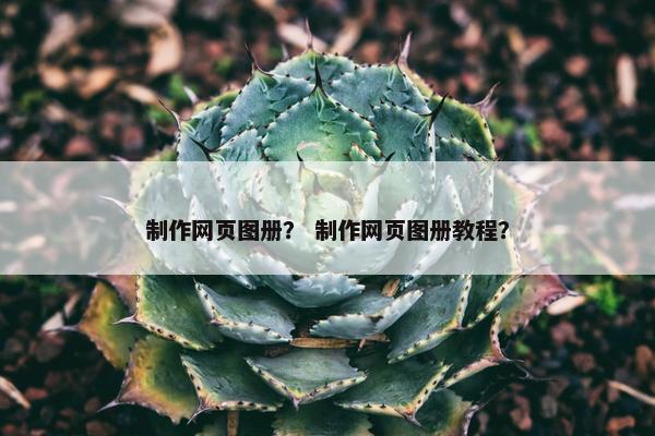 制作网页图册？ 制作网页图册教程？-第1张图片-冷动云