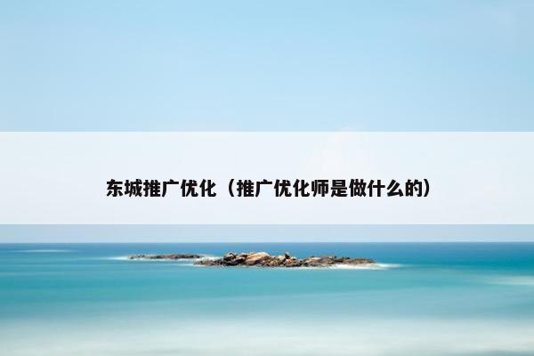 东城推广优化（推广优化师是做什么的）-第1张图片-冷动云