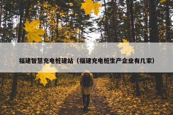 福建智慧充电桩建站（福建充电桩生产企业有几家）-第1张图片-冷动云