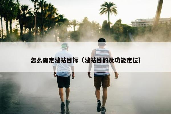 怎么确定建站目标（建站目的及功能定位）-第1张图片-冷动云