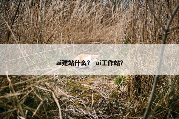 ai建站什么？ ai工作站？-第1张图片-冷动云