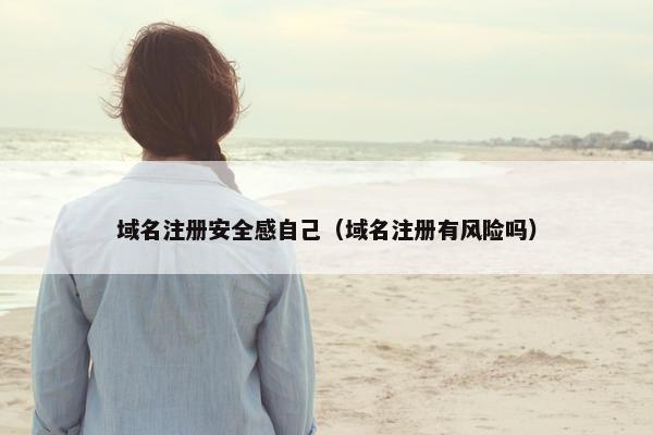 域名注册安全感自己（域名注册有风险吗）-第1张图片-冷动云
