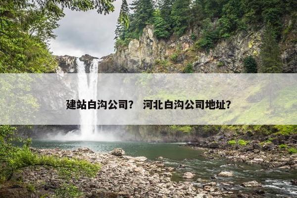 建站白沟公司？ 河北白沟公司地址？-第1张图片-冷动云