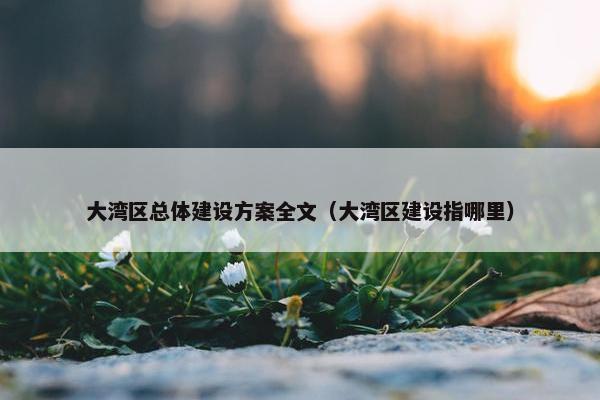大湾区总体建设方案全文（大湾区建设指哪里）-第1张图片-冷动云