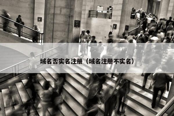 域名否实名注册（域名注册不实名）-第1张图片-冷动云