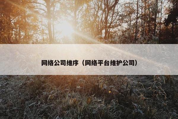 网络公司维序（网络平台维护公司）-第1张图片-冷动云