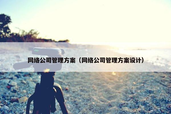 网络公司管理方案（网络公司管理方案设计）-第1张图片-冷动云