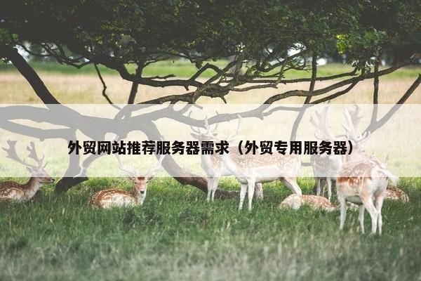 外贸网站推荐服务器需求（外贸专用服务器）-第1张图片-冷动云