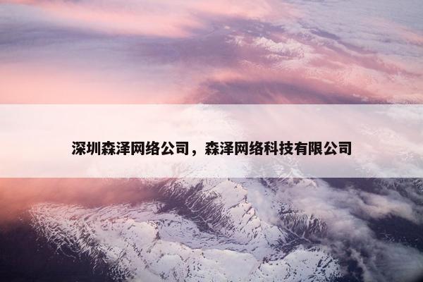 深圳森泽网络公司，森泽网络科技有限公司-第1张图片-冷动云