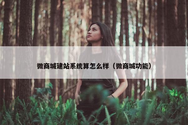 微商城建站系统算怎么样（微商城功能）-第1张图片-冷动云