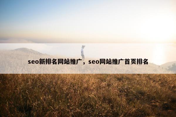 seo新排名网站推广，seo网站推广首页排名-第1张图片-冷动云