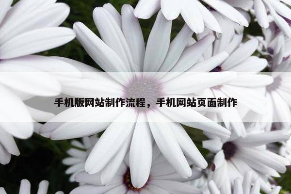 手机版网站制作流程，手机网站页面制作-第1张图片-冷动云