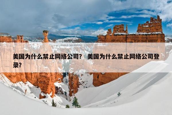 美国为什么禁止网络公司？ 美国为什么禁止网络公司登录？-第1张图片-冷动云