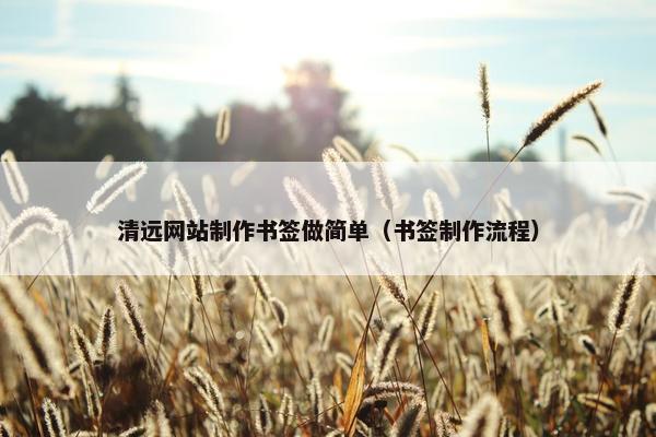 清远网站制作书签做简单（书签制作流程）-第1张图片-冷动云