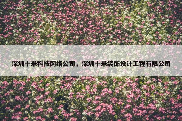 深圳十米科技网络公司，深圳十米装饰设计工程有限公司-第1张图片-冷动云