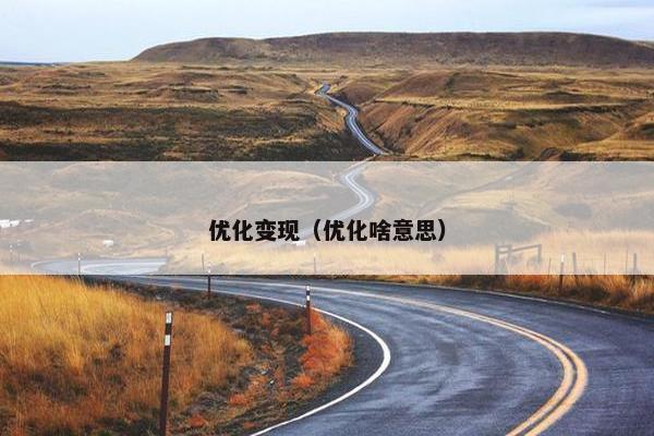 优化变现（优化啥意思）-第1张图片-冷动云