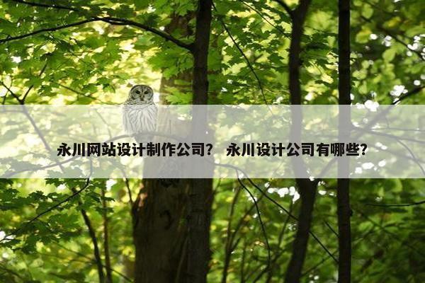 永川网站设计制作公司？ 永川设计公司有哪些？-第1张图片-冷动云