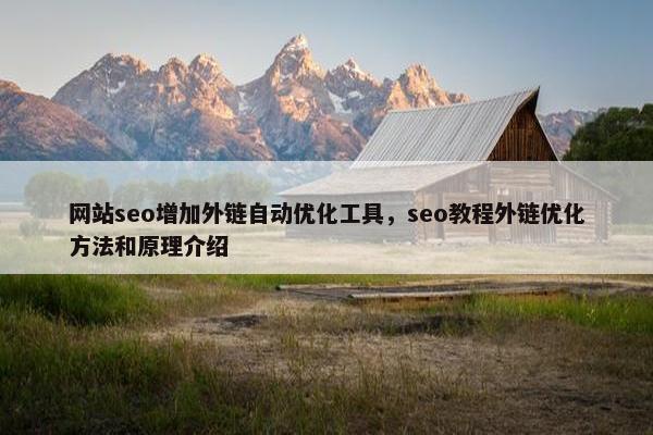 网站seo增加外链自动优化工具，seo教程外链优化方法和原理介绍-第1张图片-冷动云