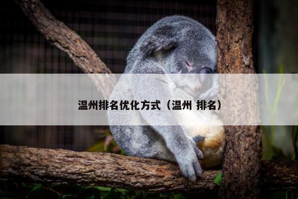 温州排名优化方式（温州 排名）-第1张图片-冷动云