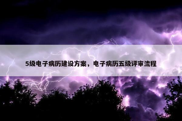 5级电子病历建设方案，电子病历五级评审流程-第1张图片-冷动云