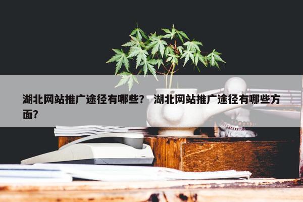 湖北网站推广途径有哪些？ 湖北网站推广途径有哪些方面？-第1张图片-冷动云