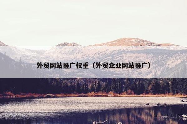 外贸网站推广权重（外贸企业网站推广）-第1张图片-冷动云