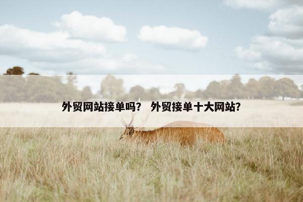 外贸网站接单吗？ 外贸接单十大网站？-第1张图片-冷动云