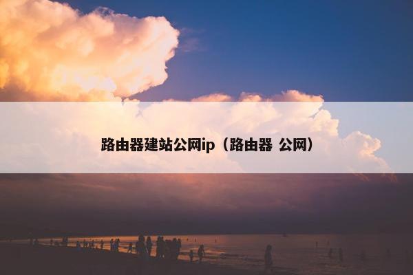 路由器建站公网ip（路由器 公网）-第1张图片-冷动云