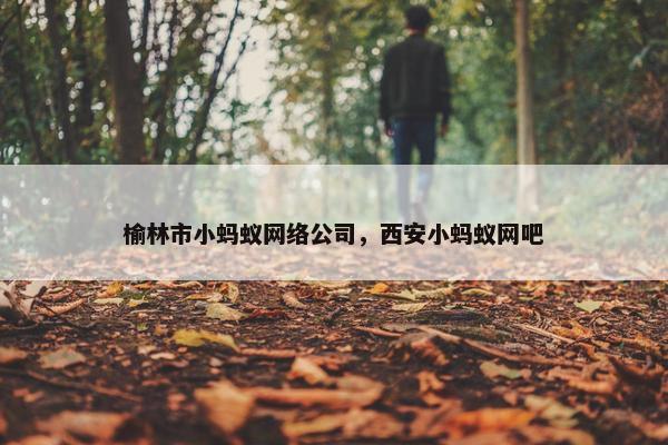 榆林市小蚂蚁网络公司，西安小蚂蚁网吧-第1张图片-冷动云