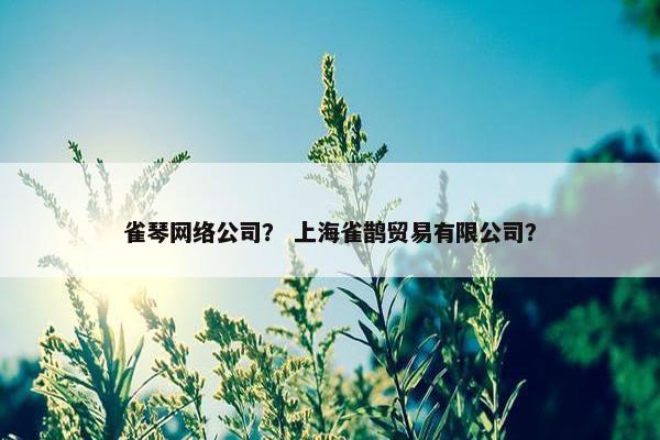 雀琴网络公司？ 上海雀鹊贸易有限公司？-第1张图片-冷动云