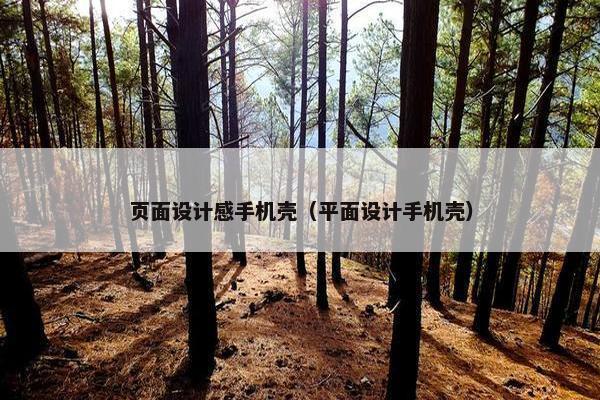 页面设计感手机壳（平面设计手机壳）-第1张图片-冷动云