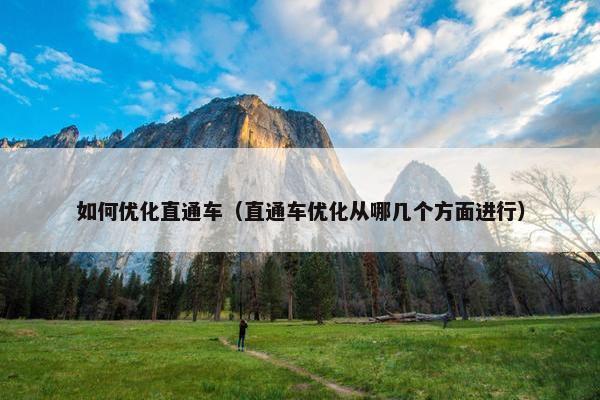 如何优化直通车（直通车优化从哪几个方面进行）-第1张图片-冷动云