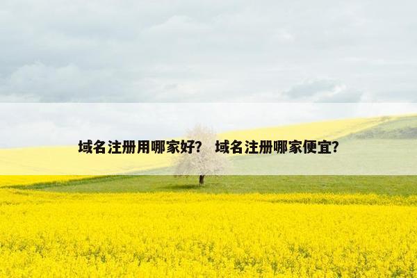 域名注册用哪家好？ 域名注册哪家便宜？-第1张图片-冷动云