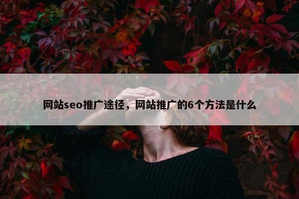 网站seo推广途径，网站推广的6个方法是什么-第1张图片-冷动云