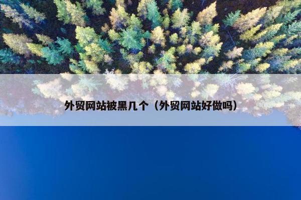 外贸网站被黑几个（外贸网站好做吗）-第1张图片-冷动云