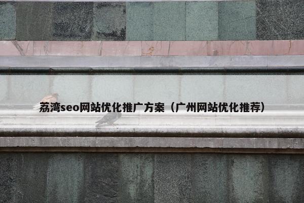 荔湾seo网站优化推广方案（广州网站优化推荐）-第1张图片-冷动云