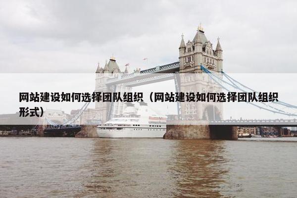 网站建设如何选择团队组织（网站建设如何选择团队组织形式）-第1张图片-冷动云
