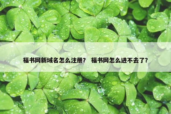 福书网新域名怎么注册？ 福书网怎么进不去了？-第1张图片-冷动云