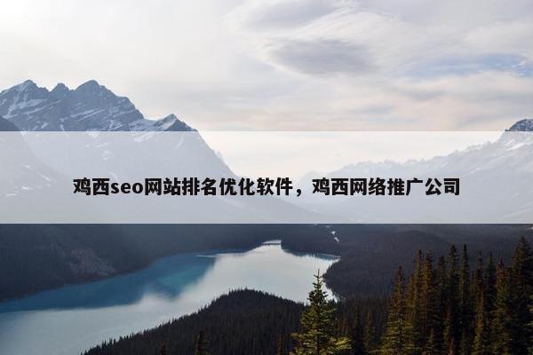 鸡西seo网站排名优化软件，鸡西网络推广公司-第1张图片-冷动云