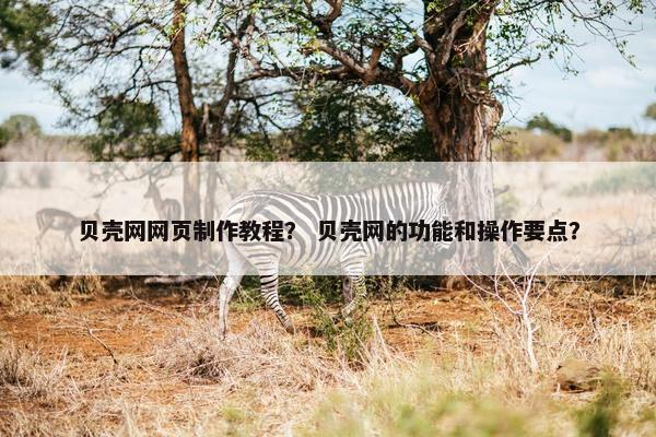 贝壳网网页制作教程？ 贝壳网的功能和操作要点？-第1张图片-冷动云