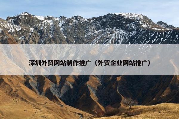 深圳外贸网站制作推广（外贸企业网站推广）-第1张图片-冷动云