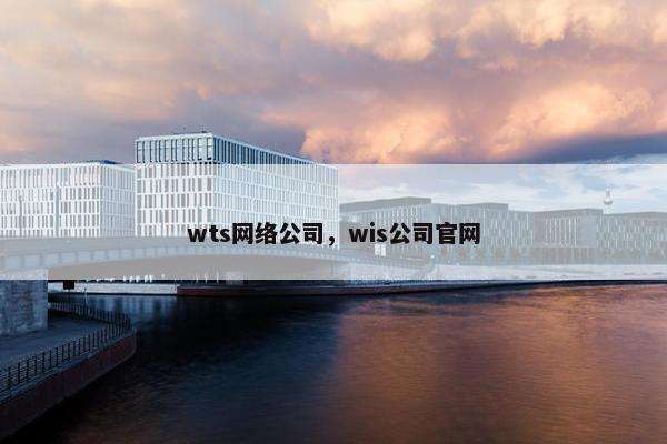 wts网络公司，wis公司官网-第1张图片-冷动云