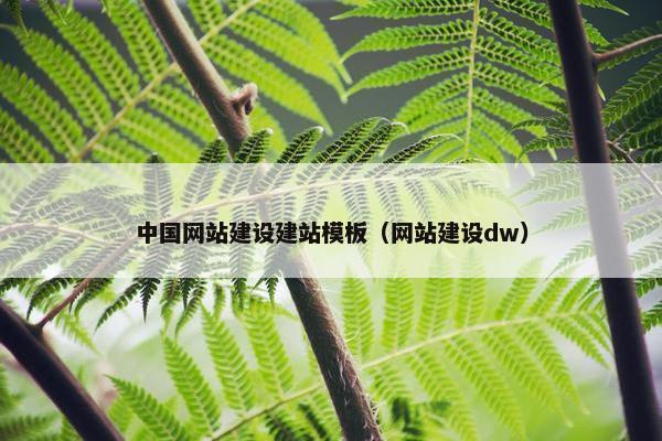 中国网站建设建站模板（网站建设dw）-第1张图片-冷动云